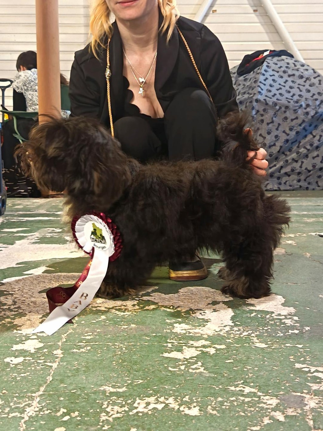 ALEXEÏ RED GUARDIAN MEILLEUR BABY EXPOSITION DE BOURGES