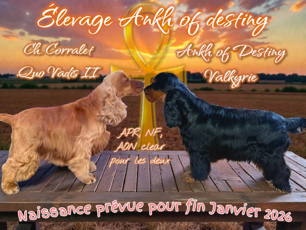 CONFIRMATION GESTATION